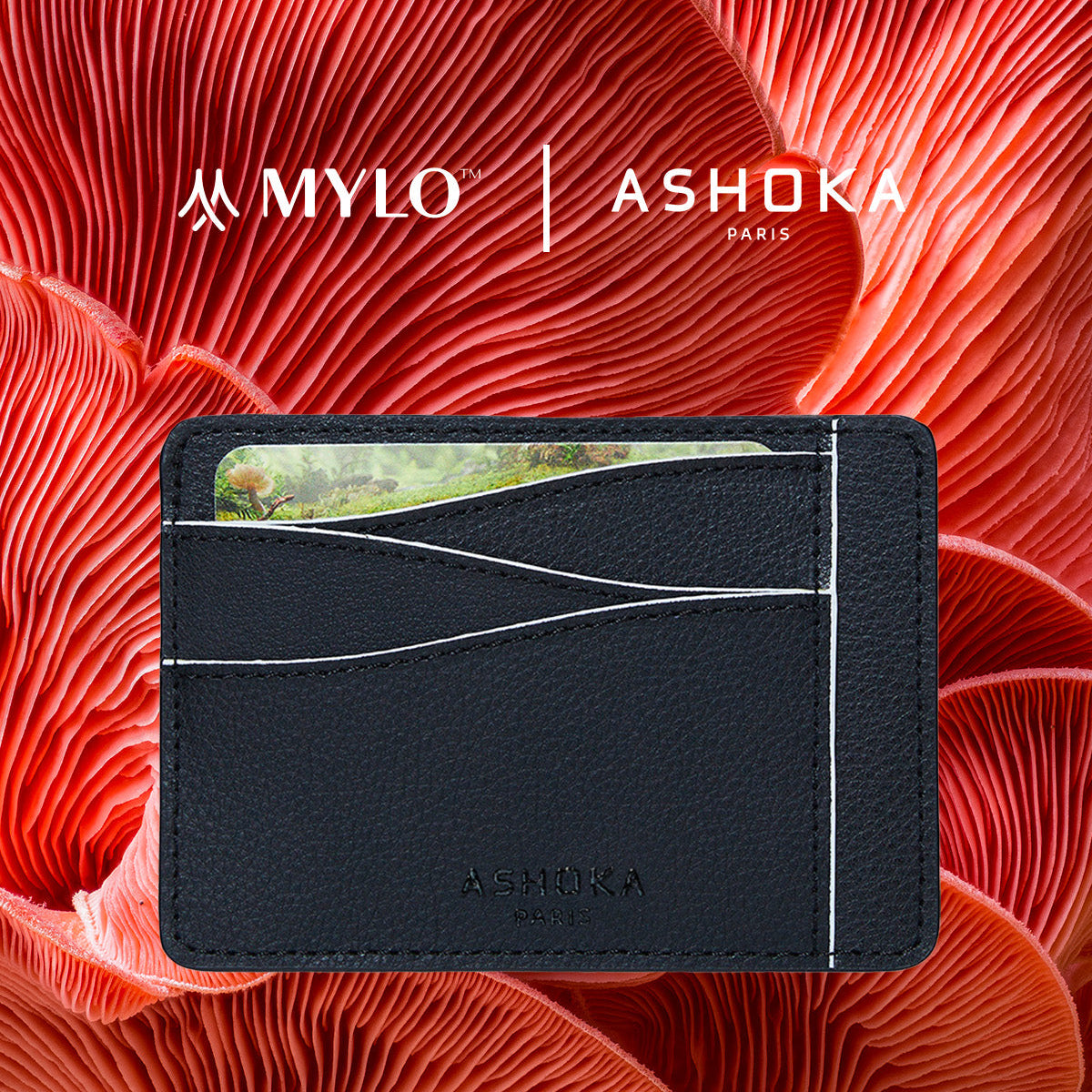Grand porte-carte Mylo™️ blanc en mycélium, structure souterraine des champignons - éthique, écoresponsable, écologique, durable et sans cruauté