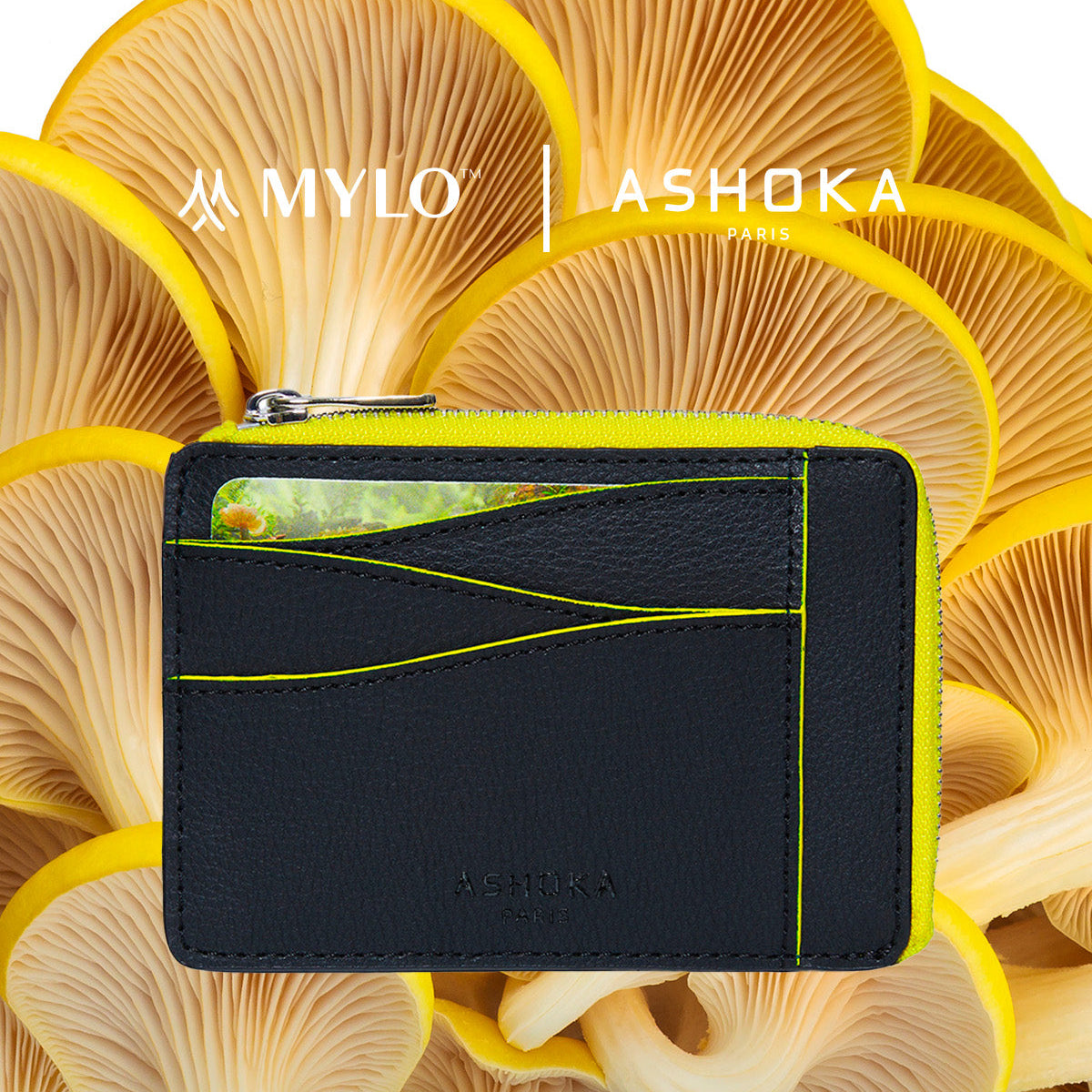 Grand porte-carte zippé Mylo™️ jaune en mycélium, structure souterraine des champignons - éthique, écoresponsable, écologique, durable et sans cruauté