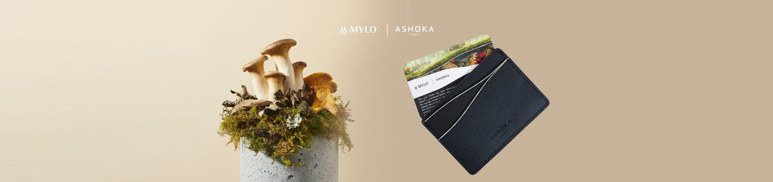 NOTRE NOUVELLE COLLECTION DE PORTE-CARTES EN CHAMPIGNON 🍄 EST EN LIGNE ! - Ashoka Paris