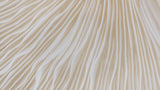 Grand Porte-Cartes en Champignon Mylo™️ Jaune